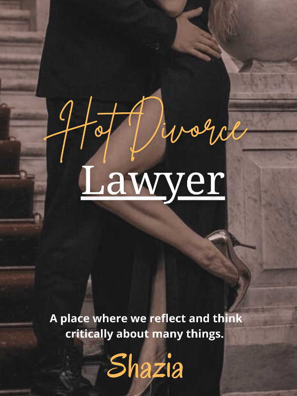 Hot Divorce Lawyer